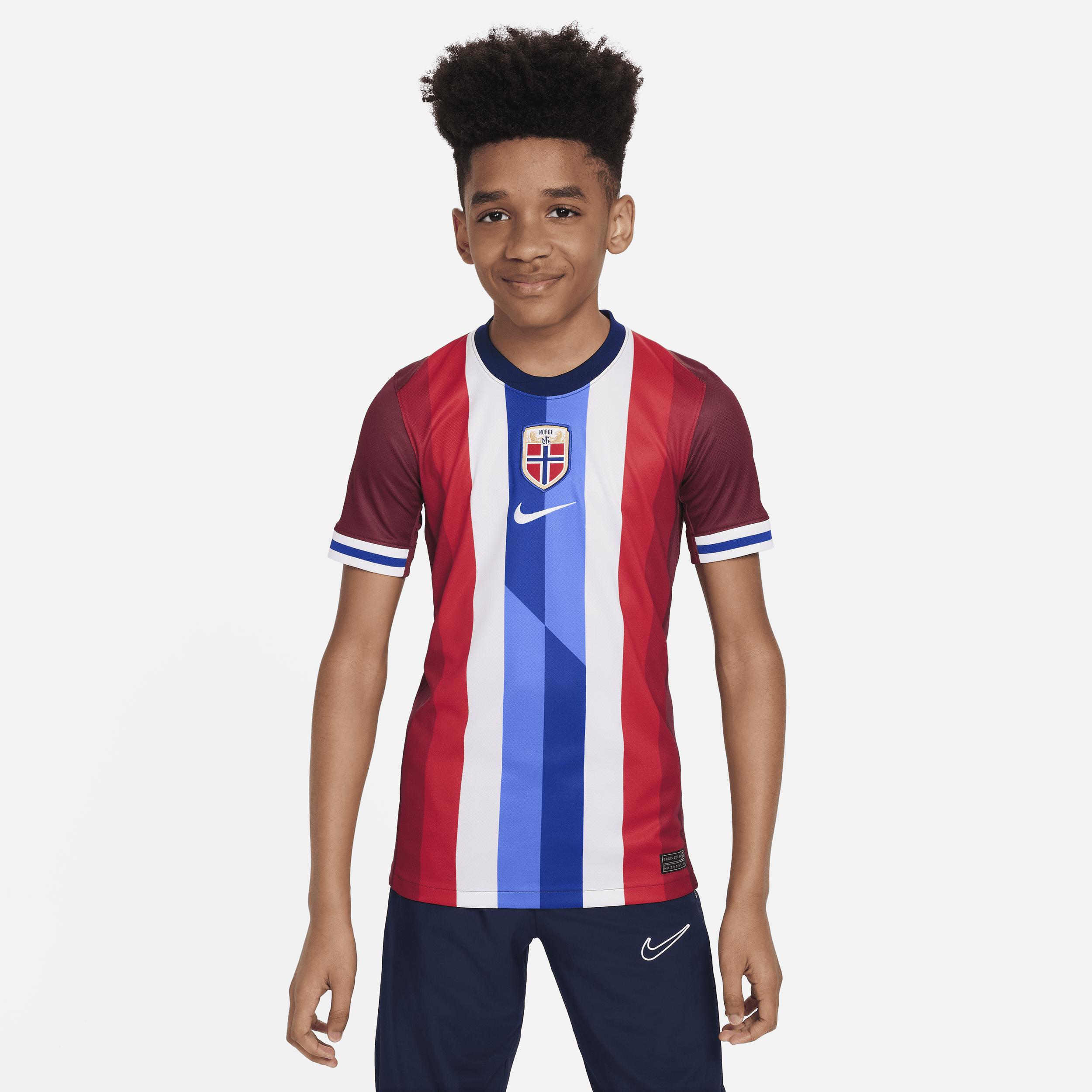 Norway (Men's Team) 2024/25 Stadium Home Big Kids' Nike Dri-FIT Soccer Replica Jersey Product Image