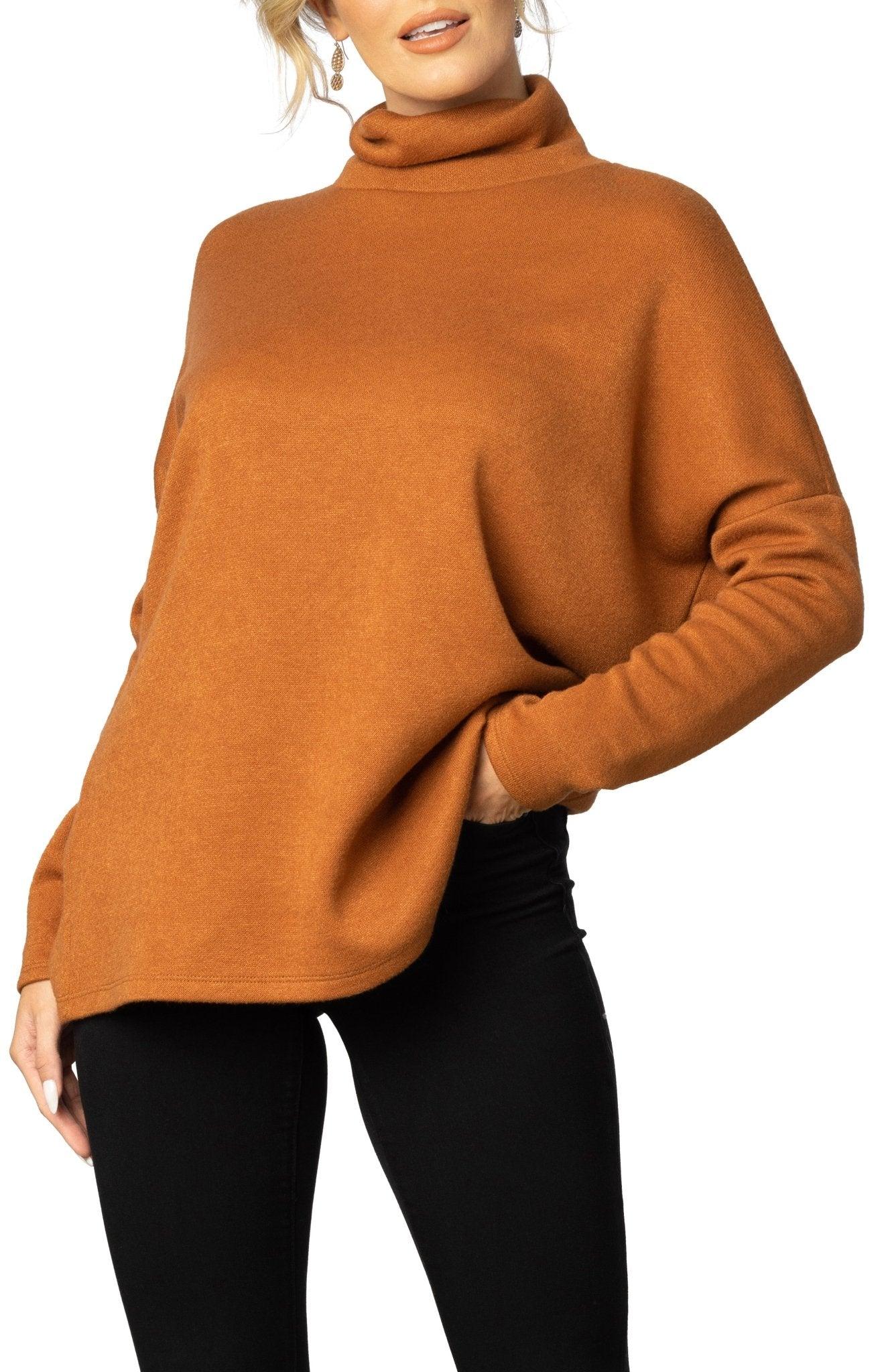 Paris Turtleneck Tunic Sweater Product Image