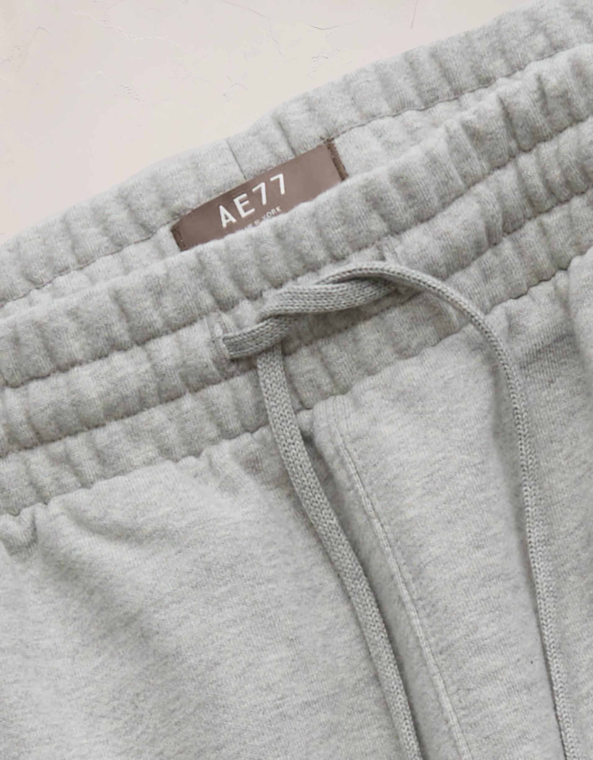 AE77 Premium Fleece Sweat Short Product Image