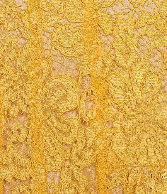 Alex Marie Rosalyn Lace Square Neck Sleeveless Fit and Flare Gown Product Image