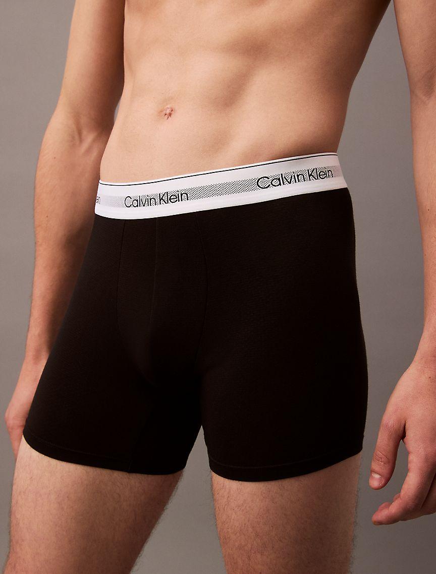 Icon Modal Mesh 3-Pack Boxer Brief Product Image