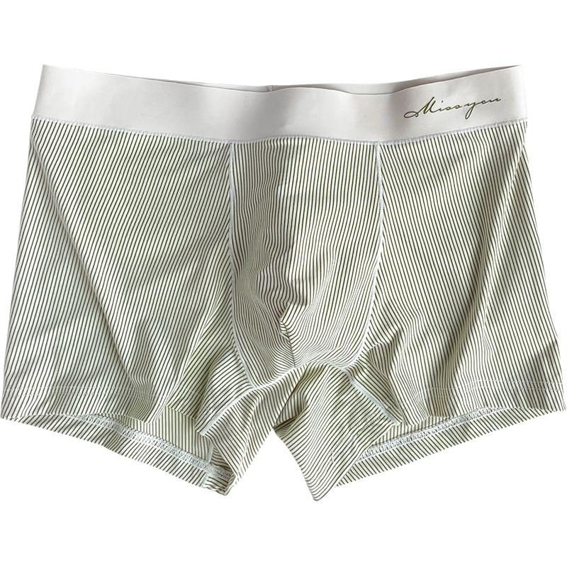 Striped Boxer Brief Product Image