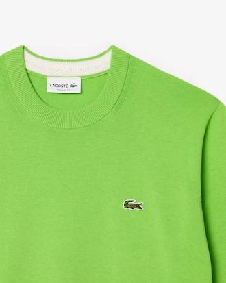 Men's Crew Neck Cotton Sweater Product Image