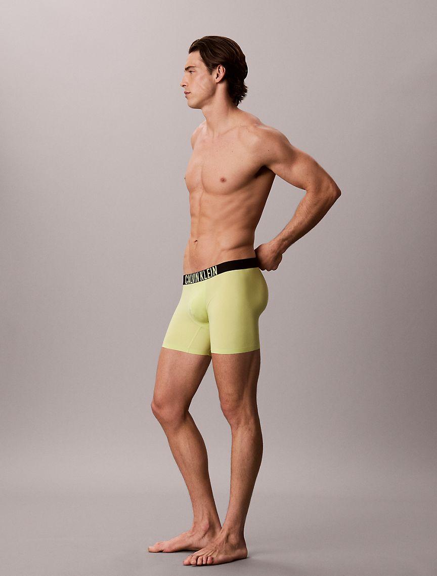 Intense Power Motion Boxer Brief Product Image
