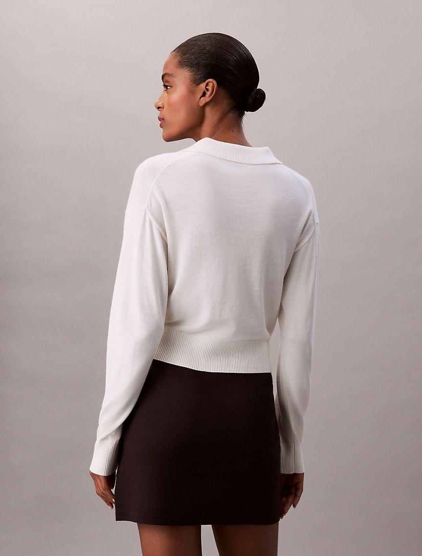 Merino Wool Blend Relaxed Polo Sweater Product Image