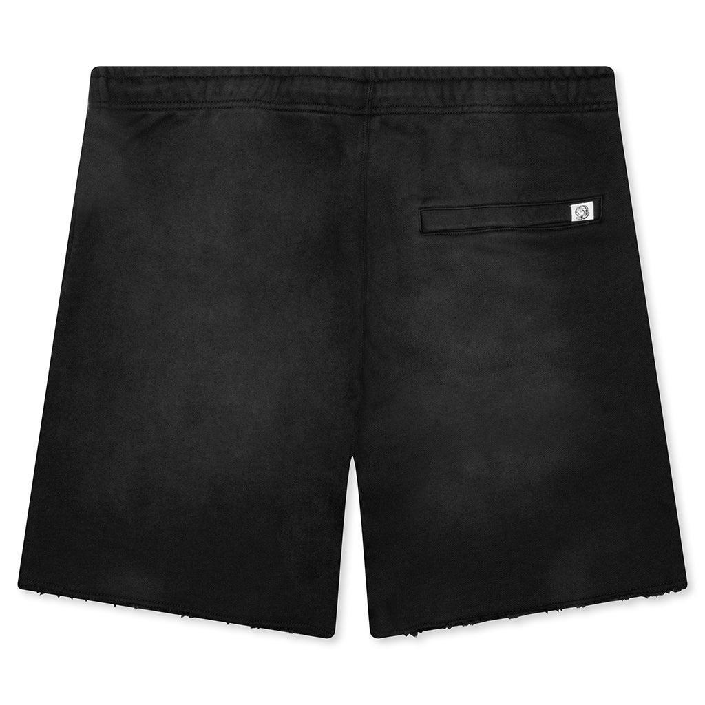Nylon Shorts - Sage Male Product Image
