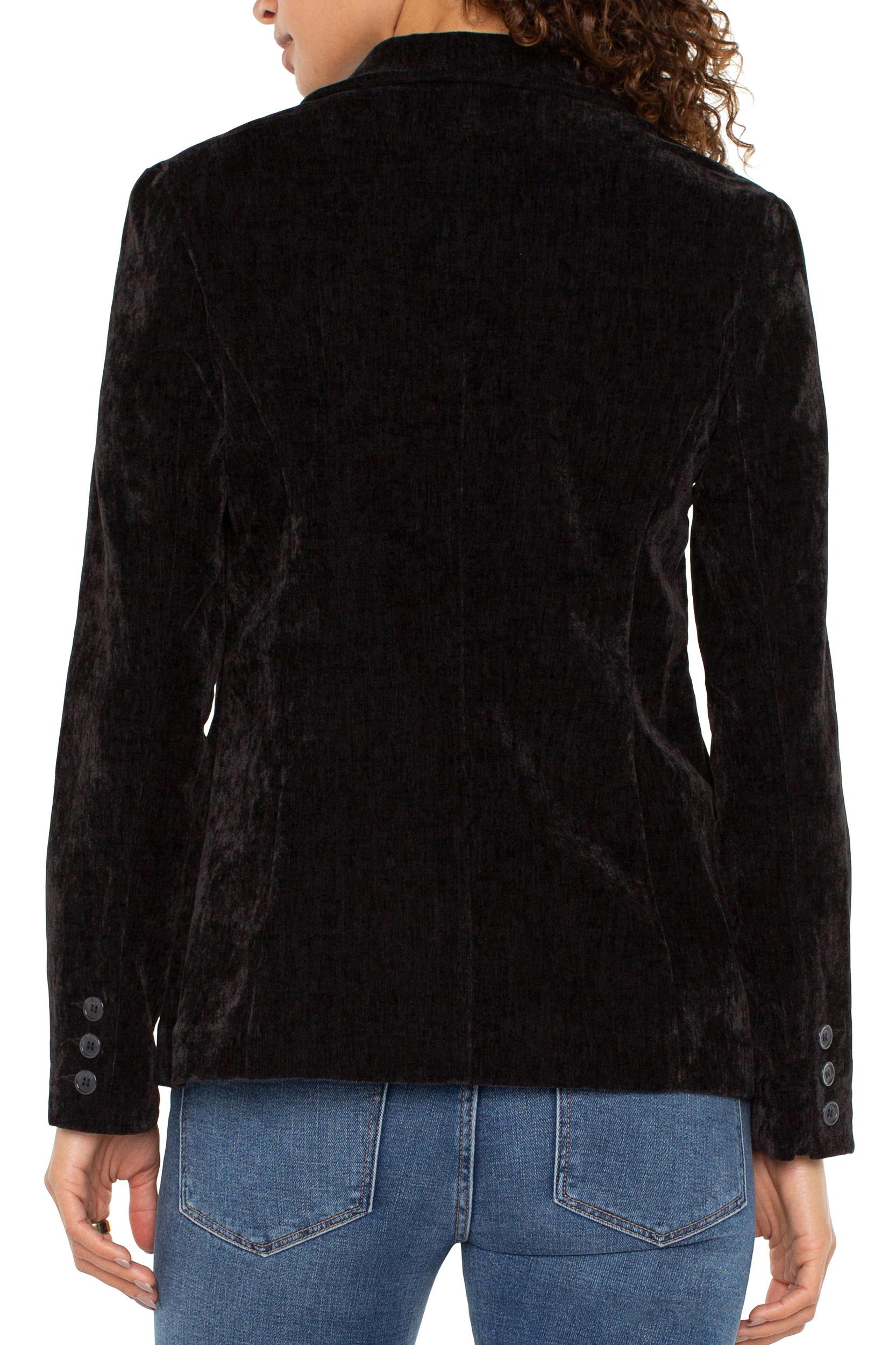 Fitted Blazer Product Image