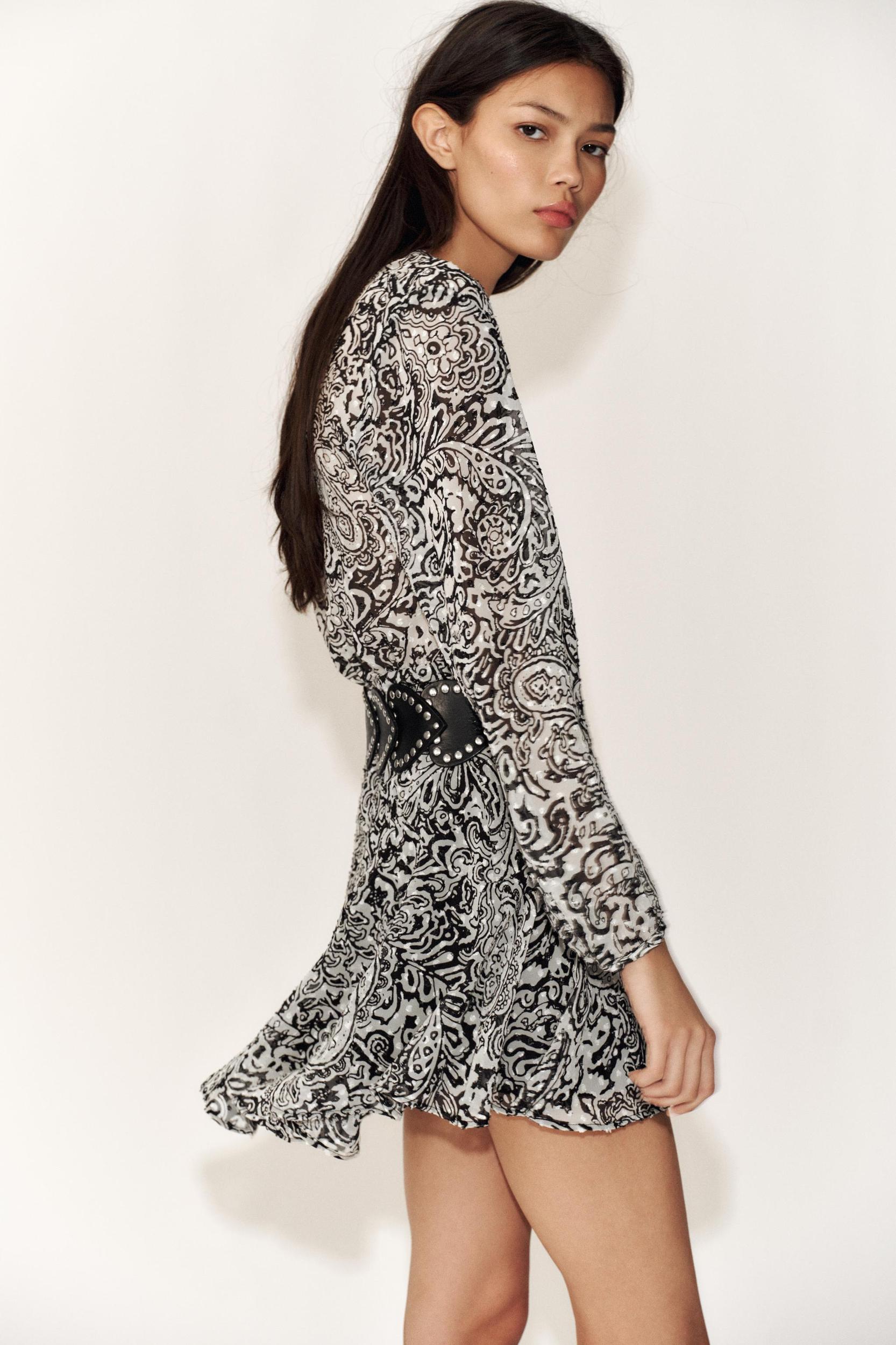 PRINTED SWISS DOT DRESS Product Image