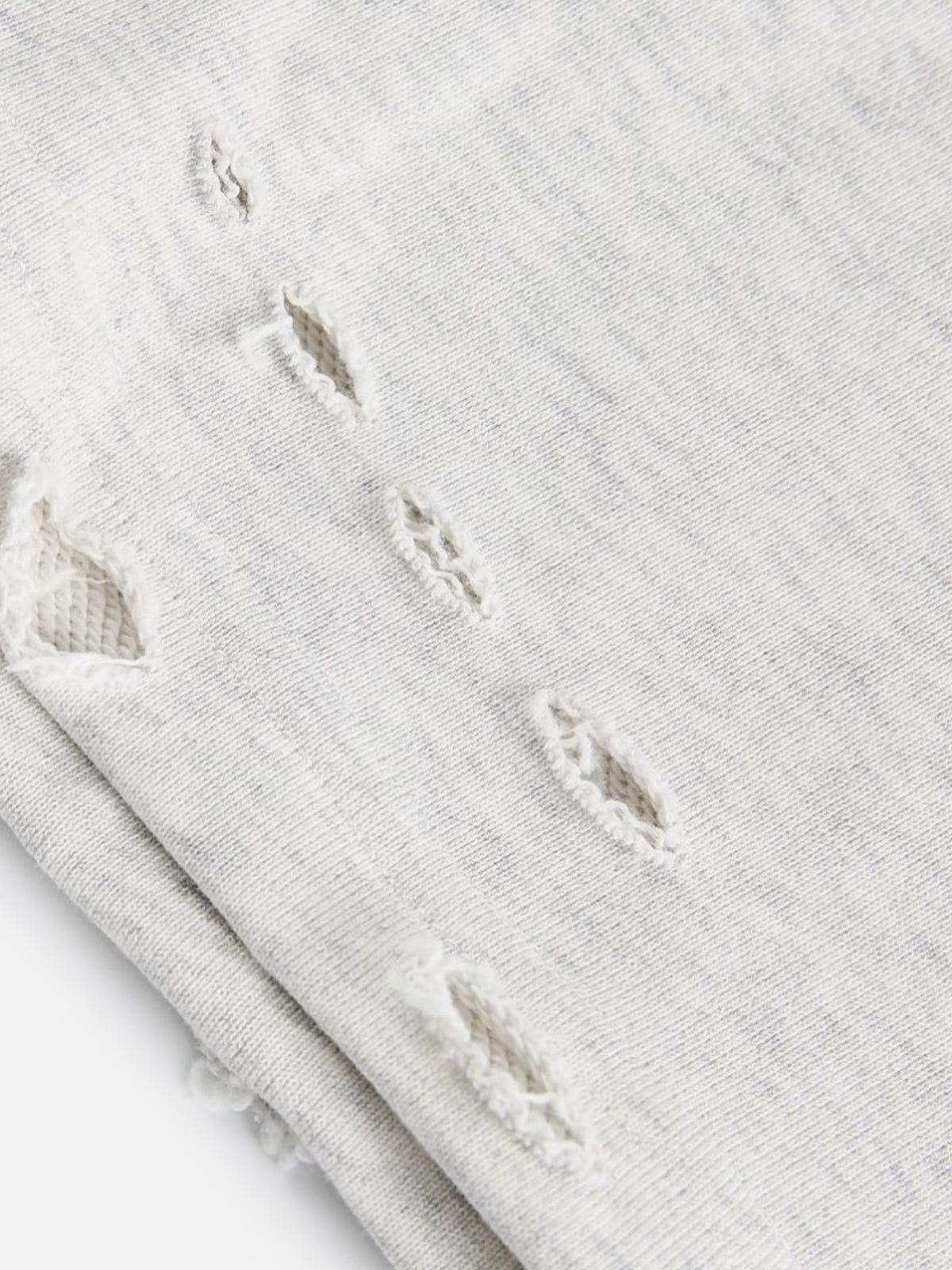 Aelfric Eden Distressed Shorts Product Image