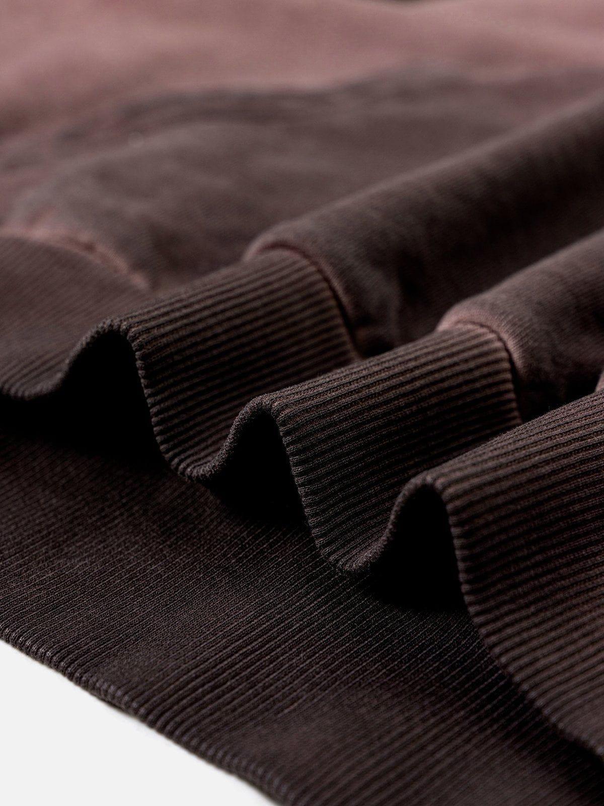 Aelfric Eden Washed Cropped Pullover Hoodie Female Product Image