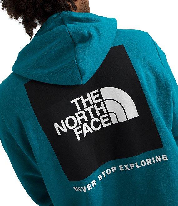 The North Face NSE Pullover Graphix Hoodie Product Image