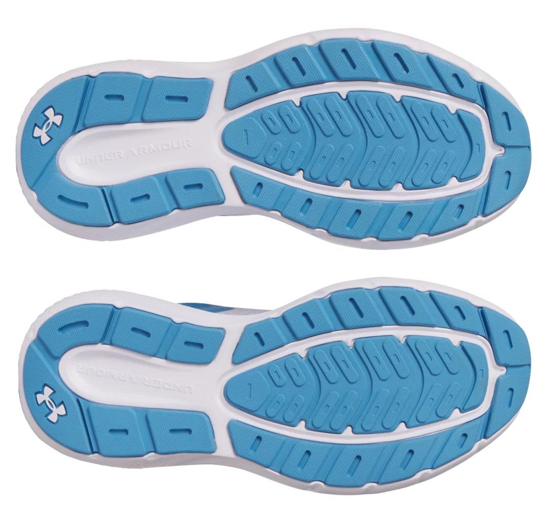 UA Rogue 5 Product Image