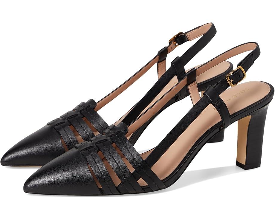 MSRP: $120(10% OFF) Product Image