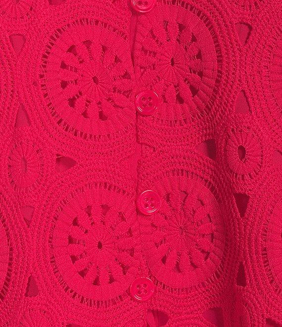 Skies Are Blue Crotchet V-Neck Cap Sleeve Mini Dress Product Image