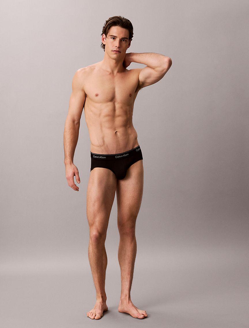 Icon Cotton Stretch Metallic 3-Pack Hip Brief Product Image