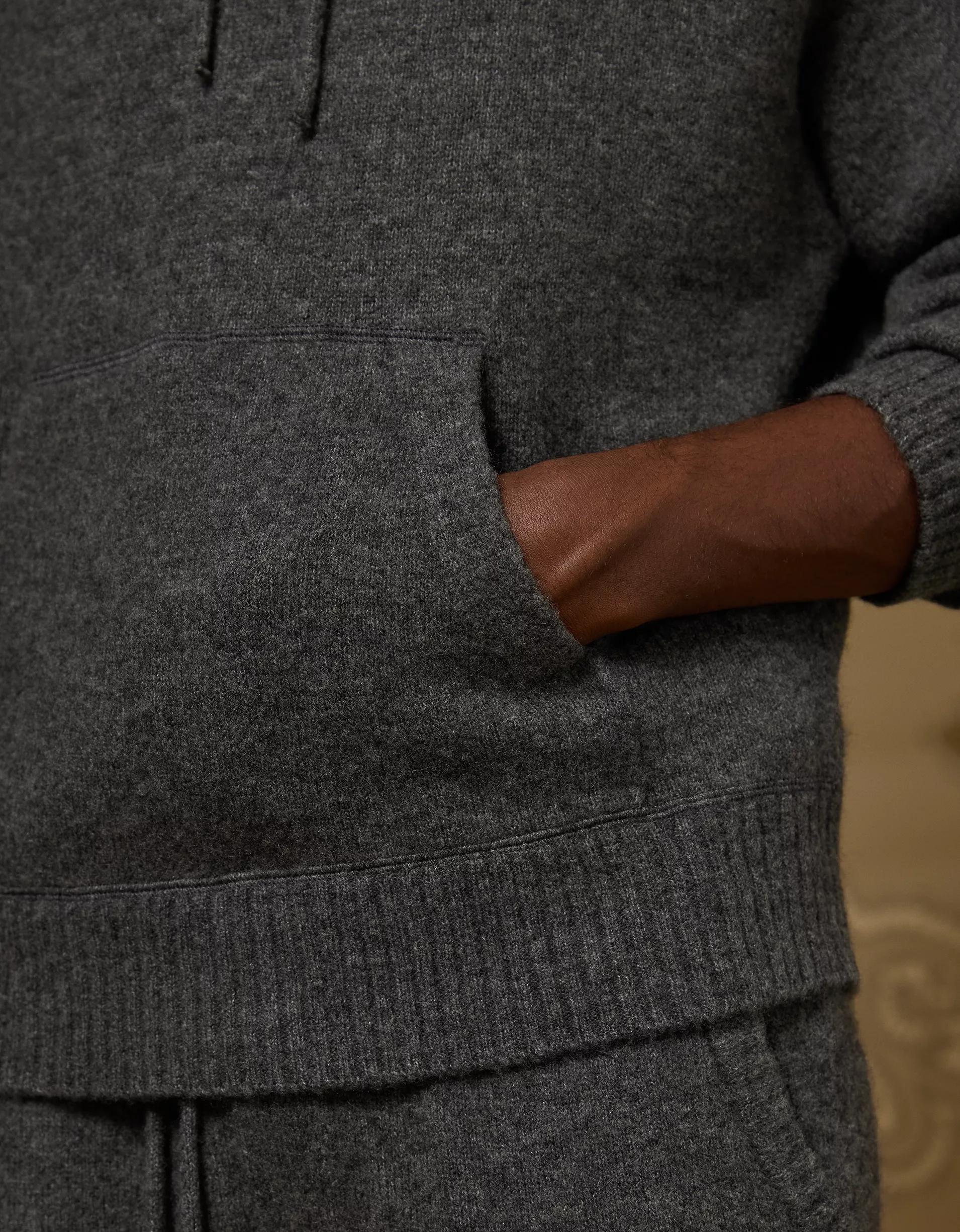 AE x Tru Colors Wool-Cashmere Hoodie Product Image