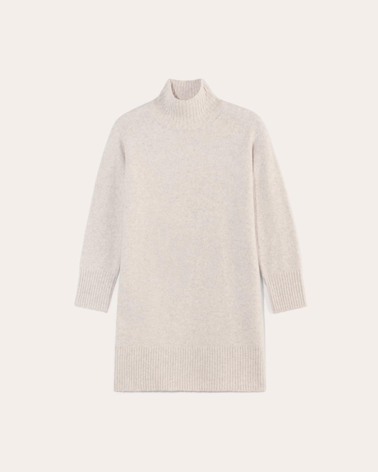 Womens Sweater Dress in Plush Cotton by Everlane Product Image