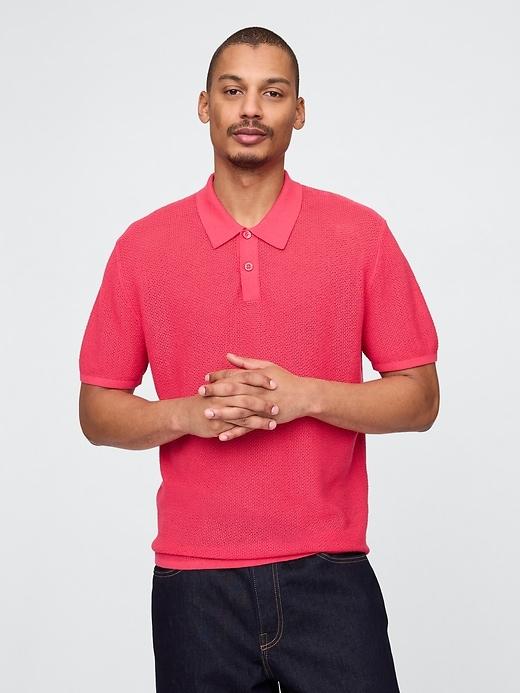 Textured Crochet Polo Shirt Product Image