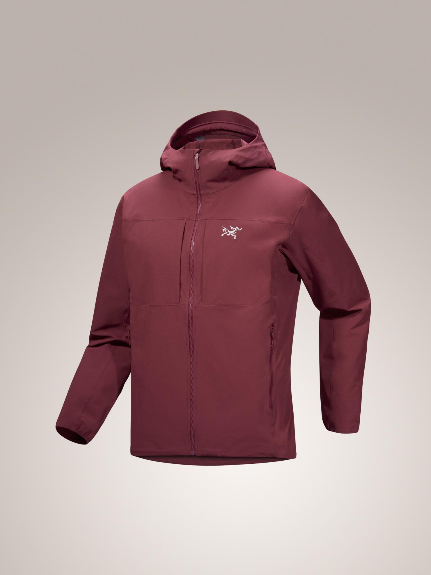 Gamma Hoody Men's Product Image