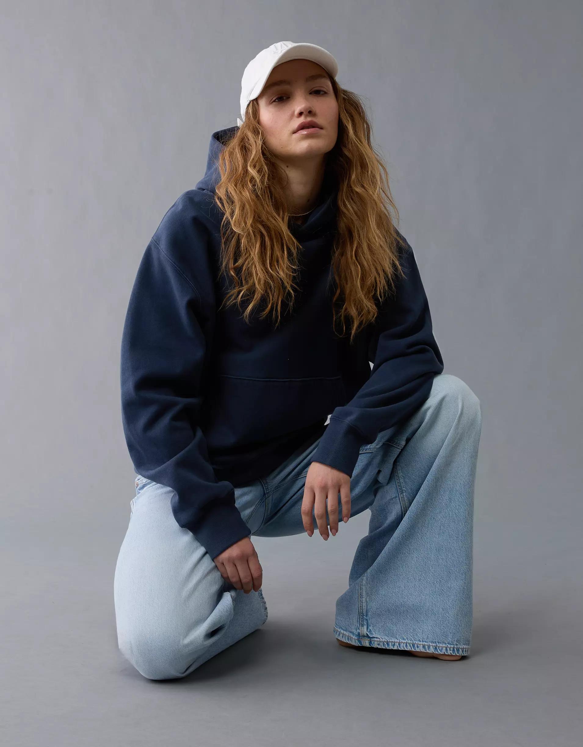 AE Laidback Luxe Heavyweight Logo Hoodie Product Image