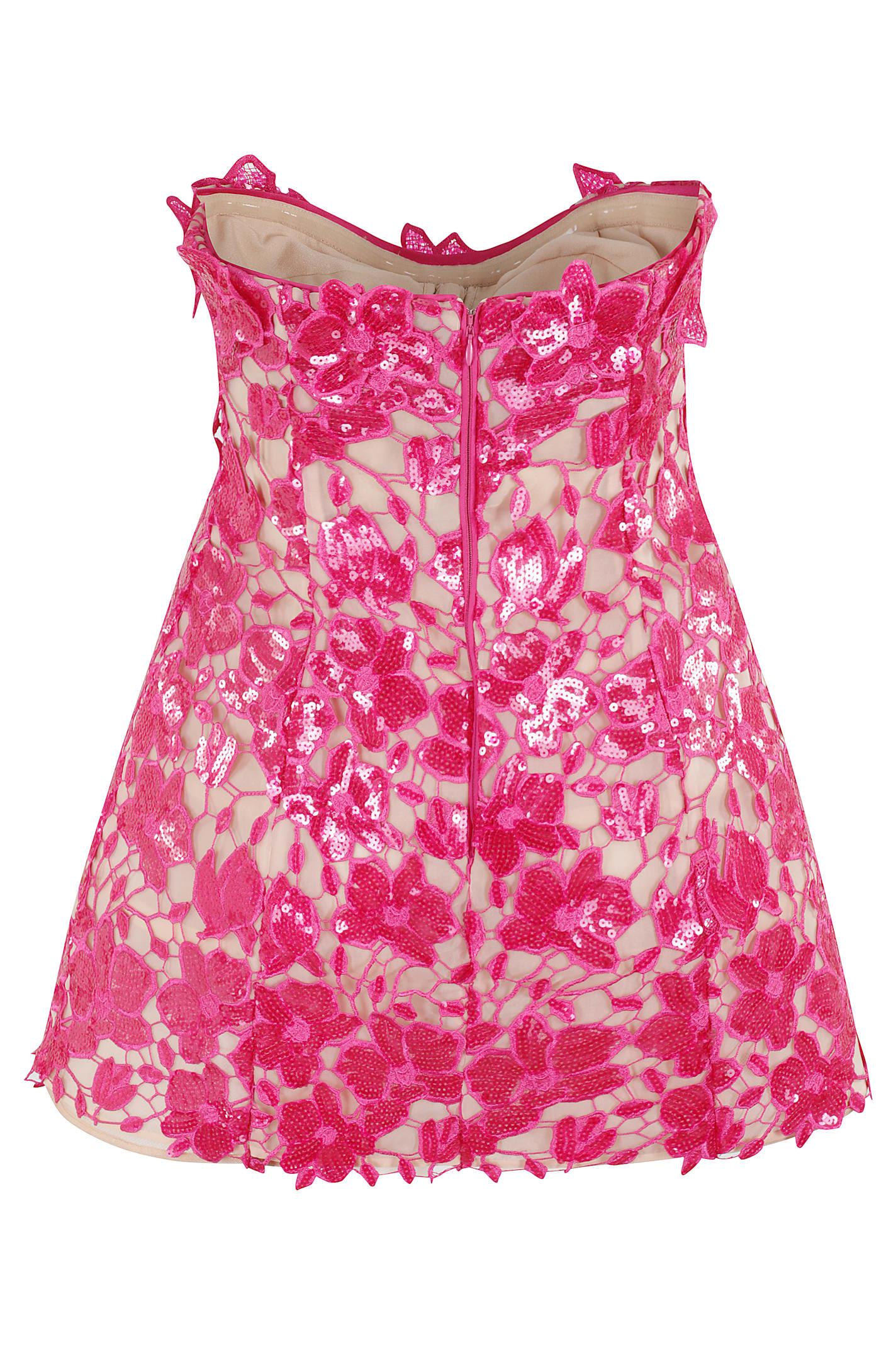 RETROFÉTE Alira Strapless Sequined Lace Mini Dress In Pink Product Image