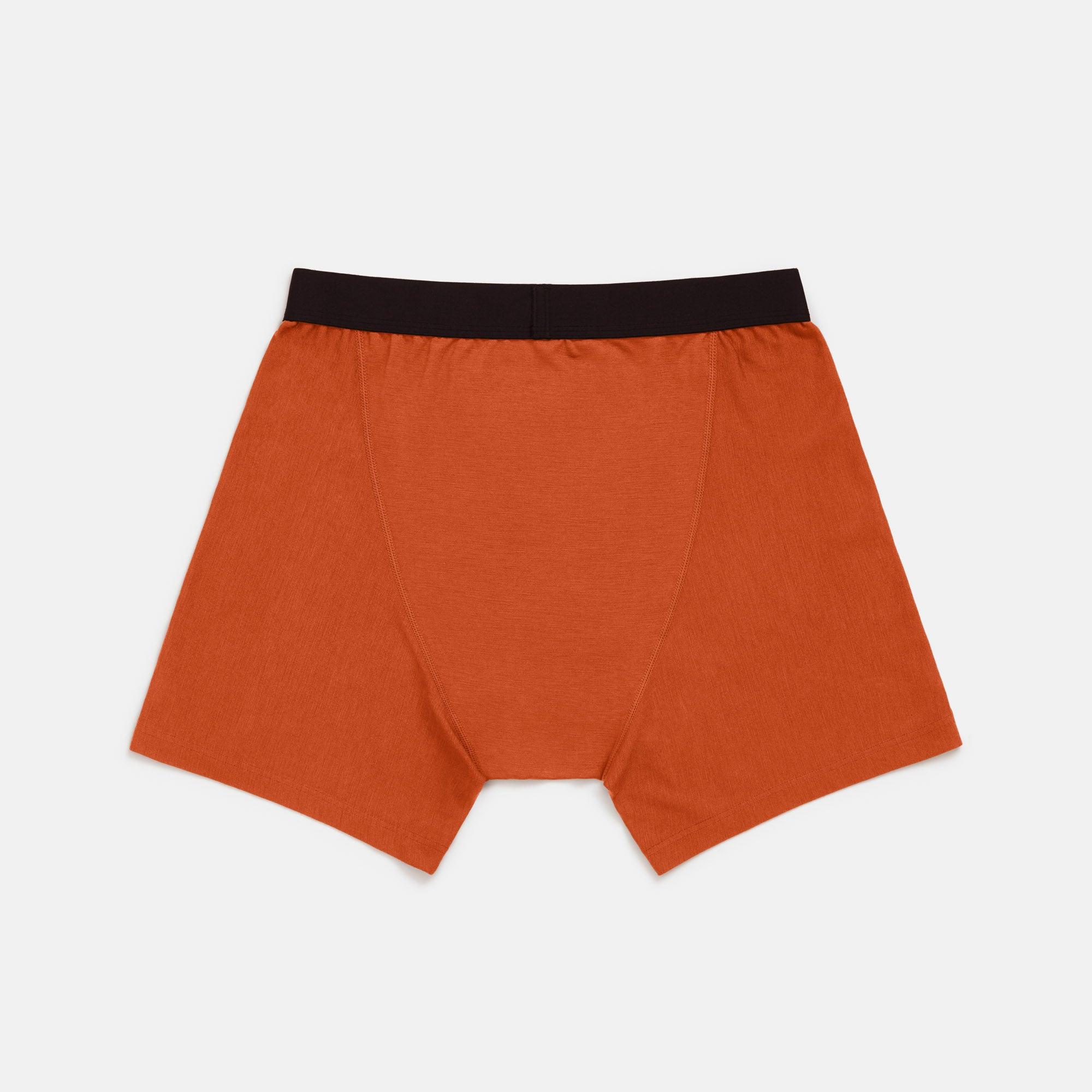 Merino Wool Boxer Briefs | Terracotta Product Image