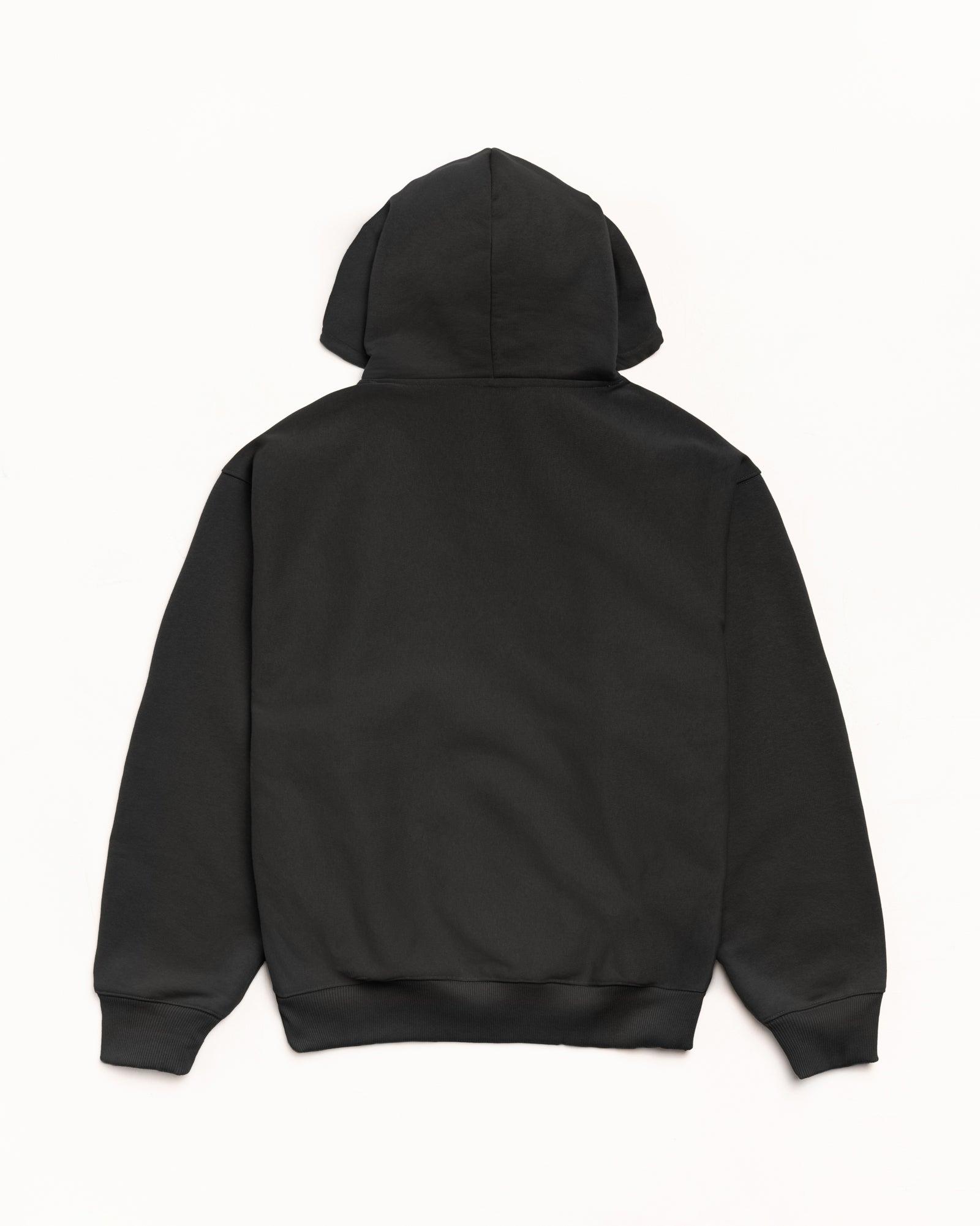 BASIC STÜSSY HOODIE Male Product Image