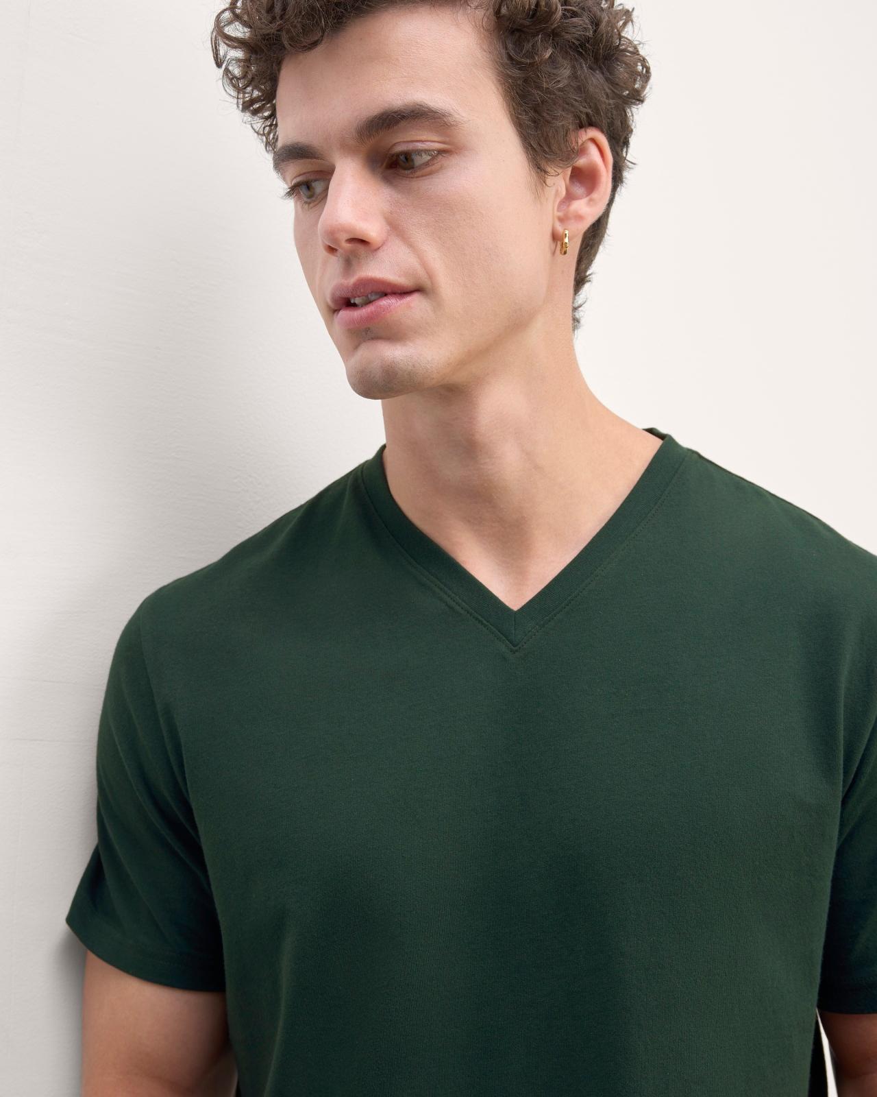 Mens Essential Organic V-Neck T-Shirt by Everlane Product Image