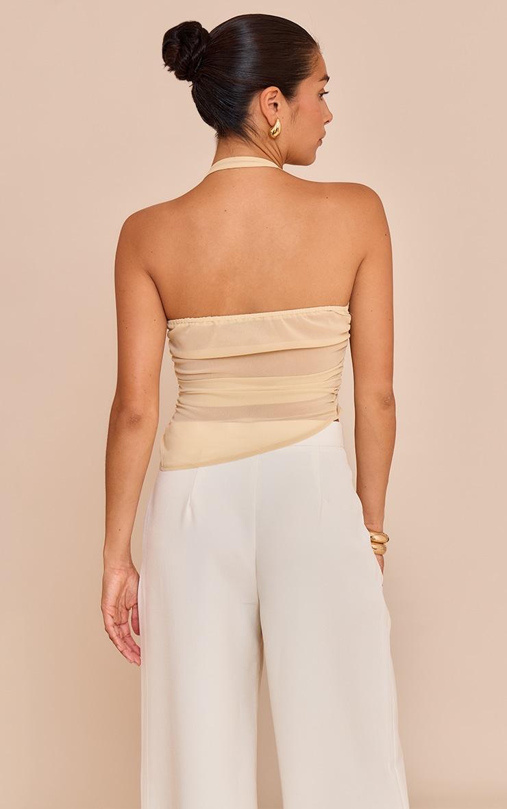 Petite Almond Sheer V Neck Drape Detail Top Product Image