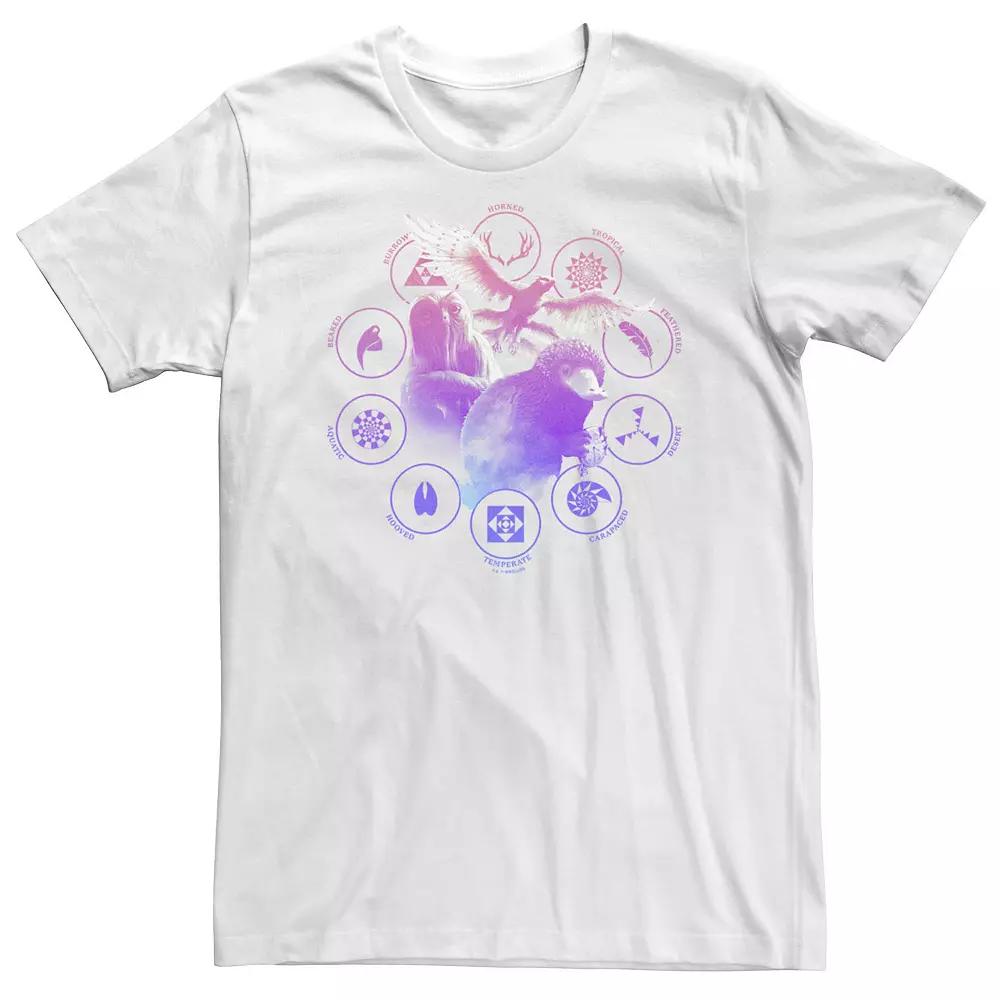 Big & Tall Fantastic Beasts - Grindelwald Color Chomatic Beasts Symbols Tee, Men's,  Product Image
