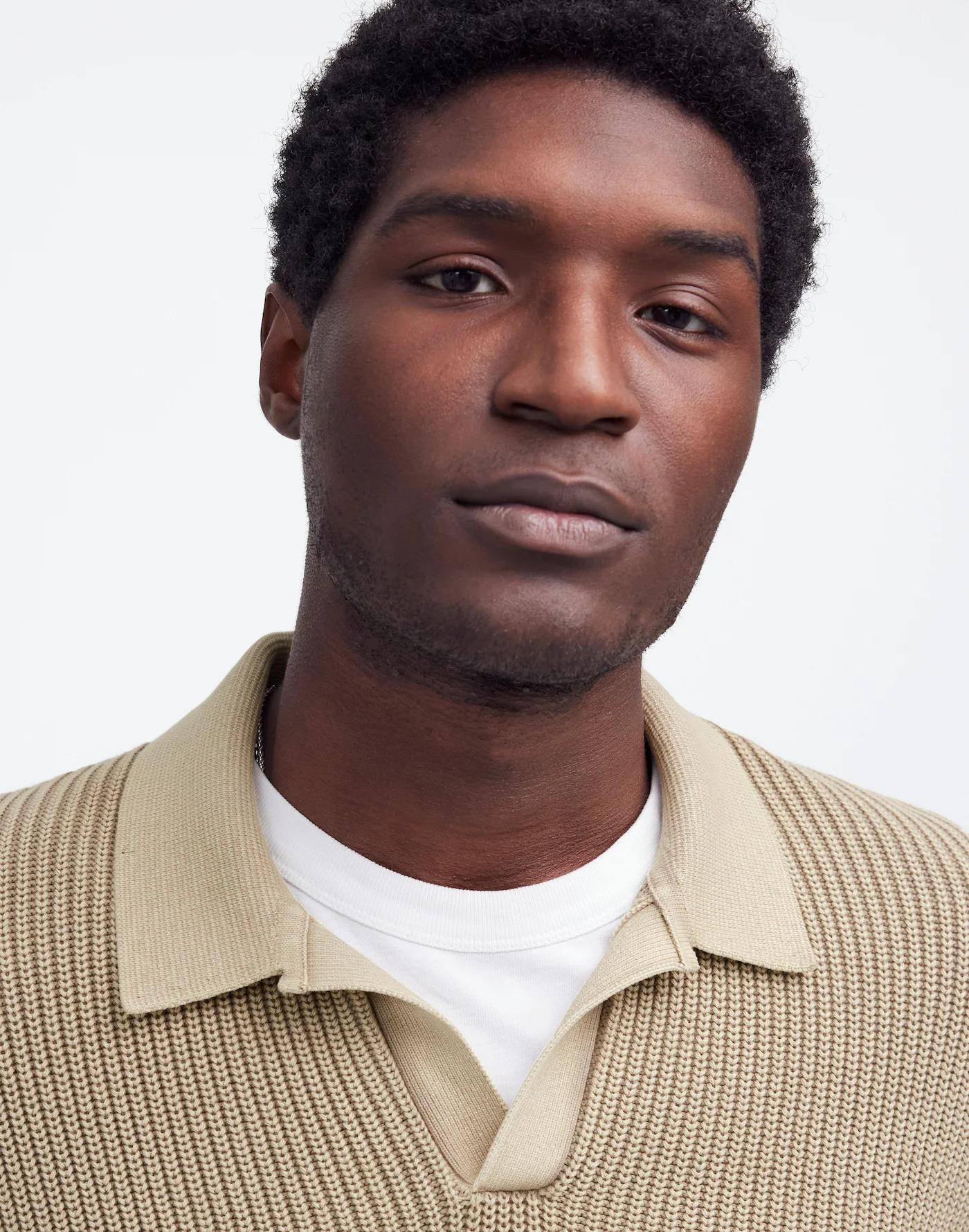 Cotton Shaker Stitch Johnny-Collar Sweater Polo Product Image