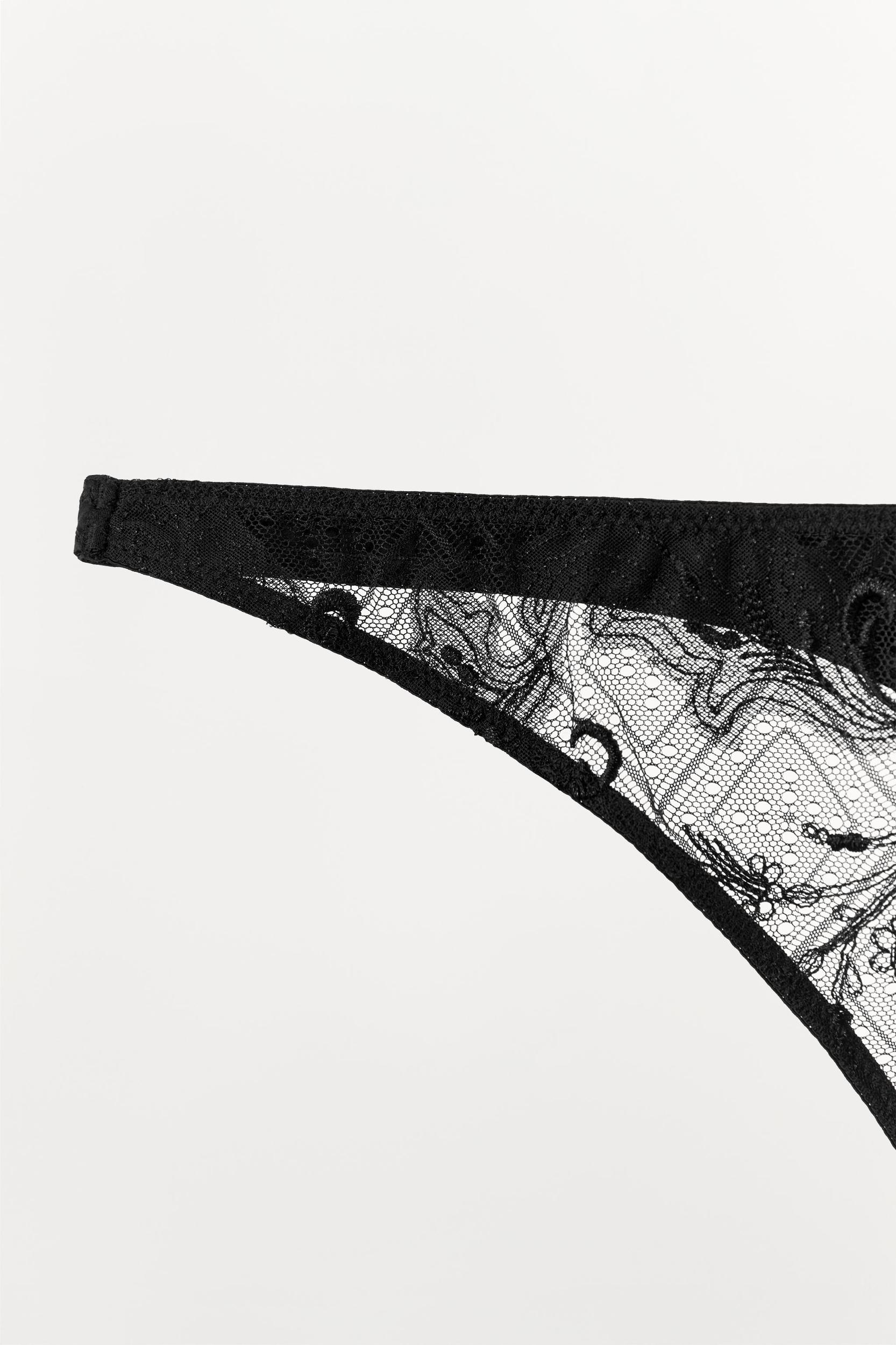 EMBROIDERED LACE PANTIES Product Image