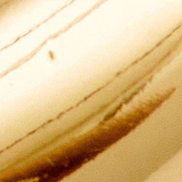 LINKS EARRINGS Female Product Image