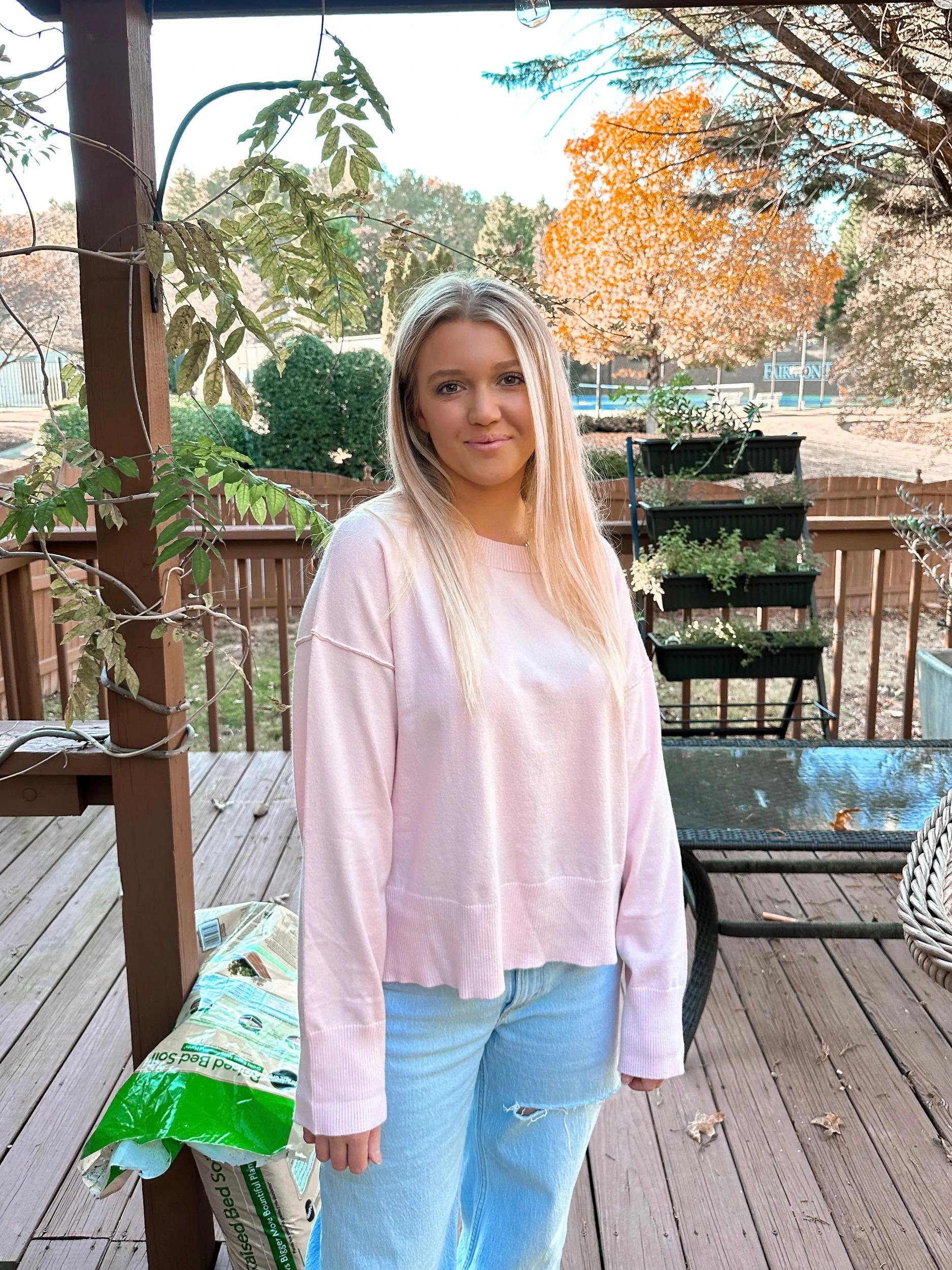 Pink Buttery Soft Sweater Product Image