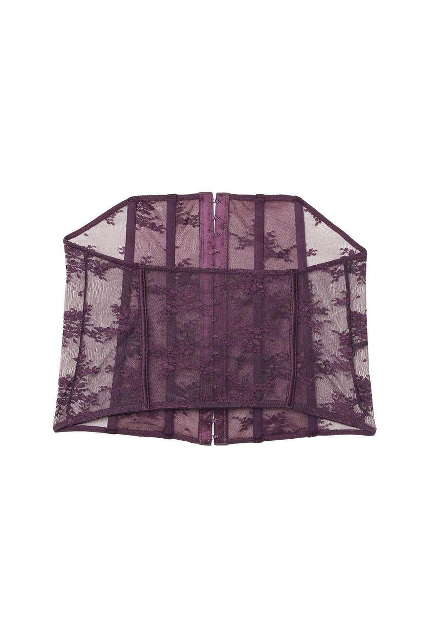 Tailored Lace Corset Product Image