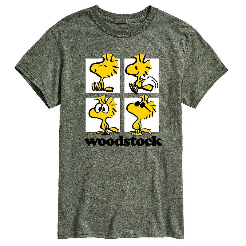 Big & Tall Peanuts Woodstock Grid Graphic Tee, Men's,  Product Image