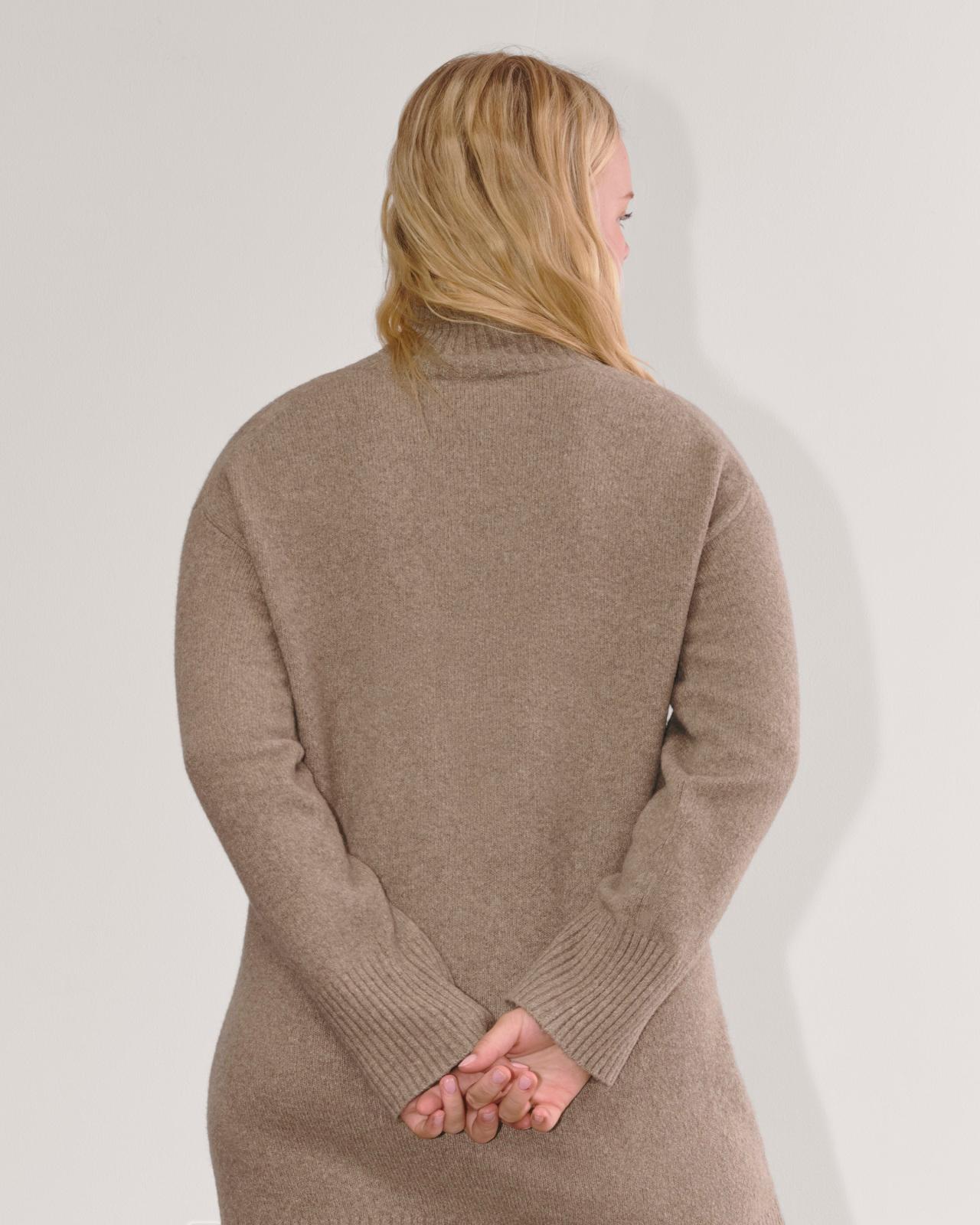 Womens Sweater Dress in Plush Cotton by Everlane Product Image