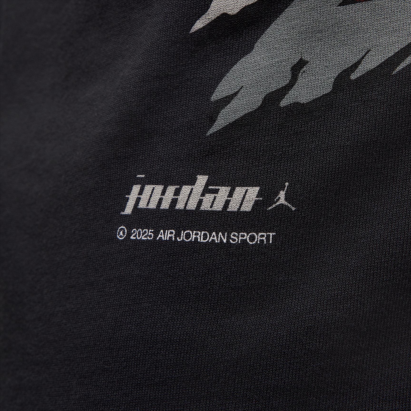 Mens Jordan T-Shirt | IB8814-045 Product Image