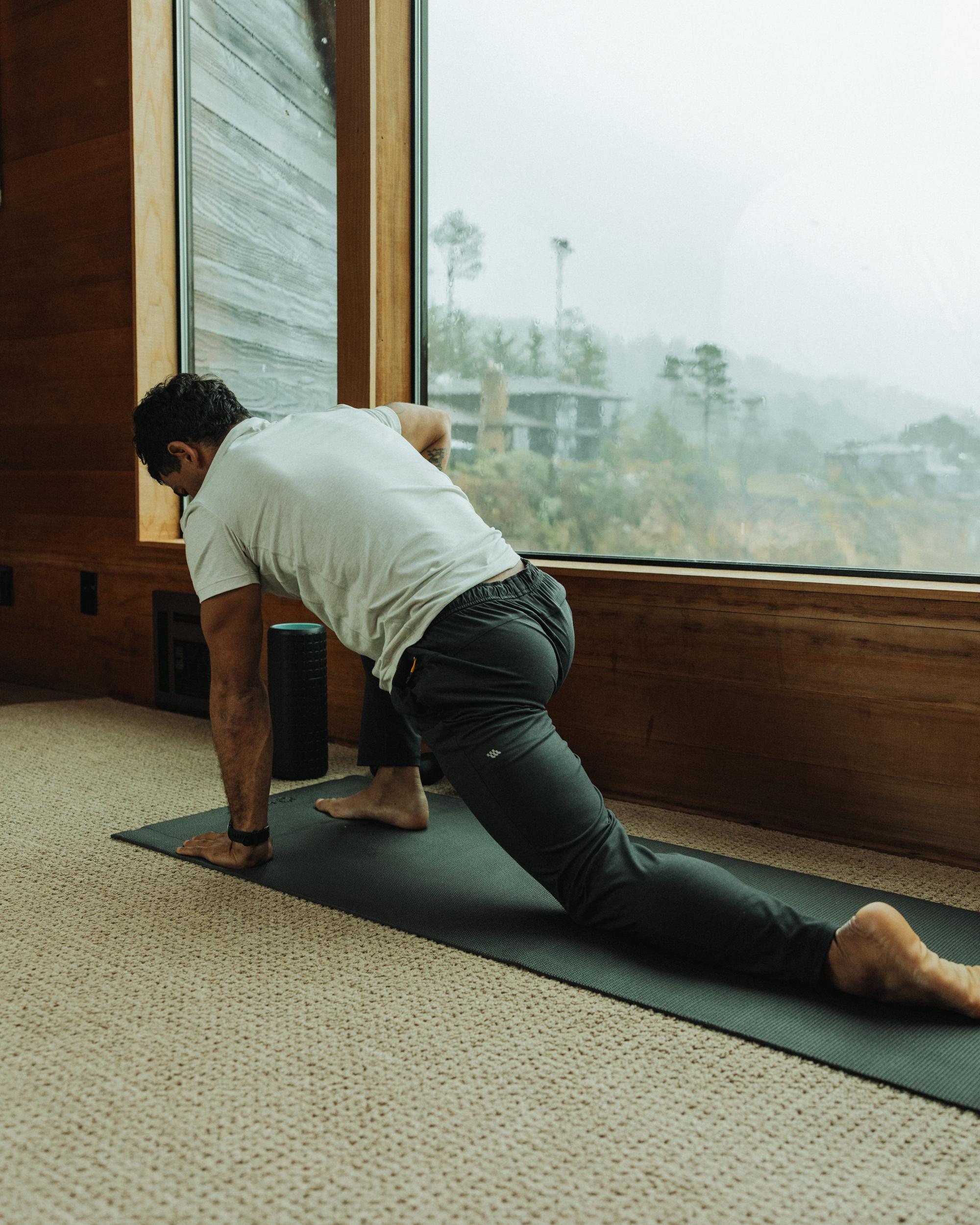 Wellknit Jogger Product Image