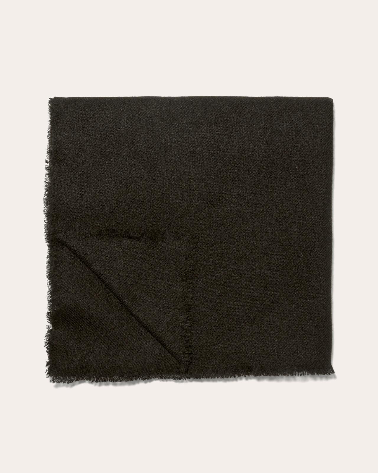 Womens Cashmere Feather Scarf by Everlane Product Image