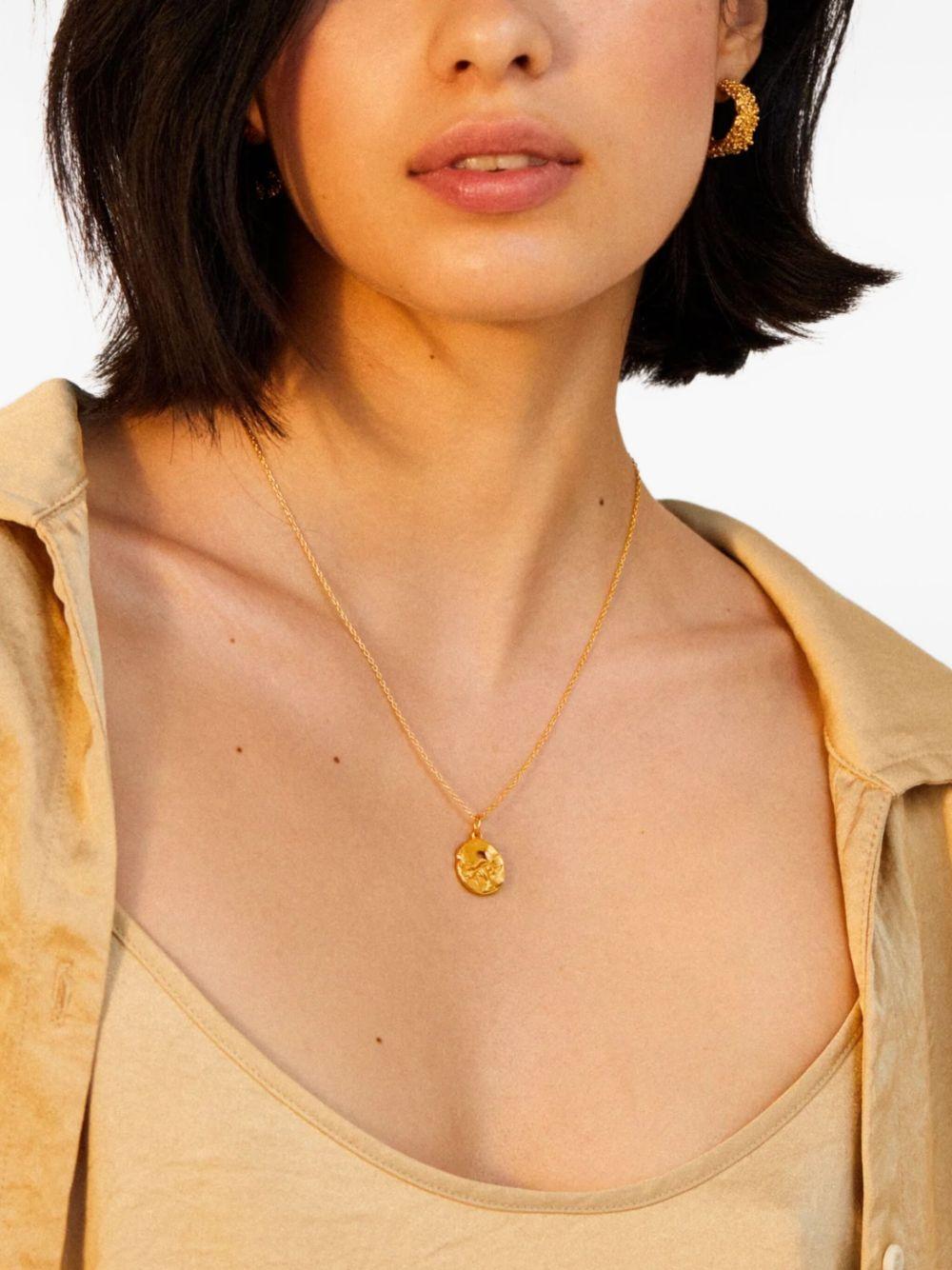 The Taurus Medallion necklace  Product Image
