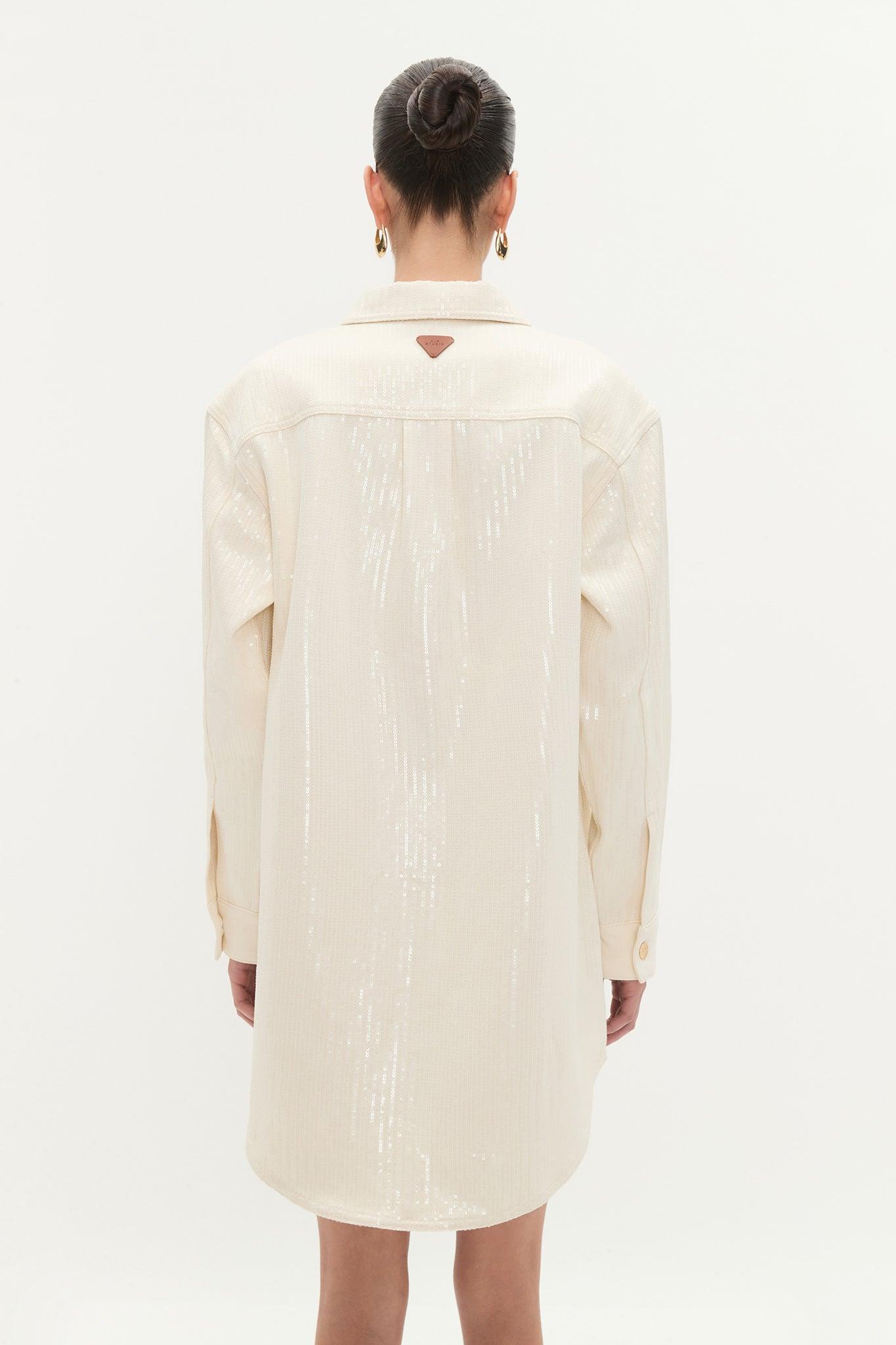 Reflect Denim Shirt Dress Product Image