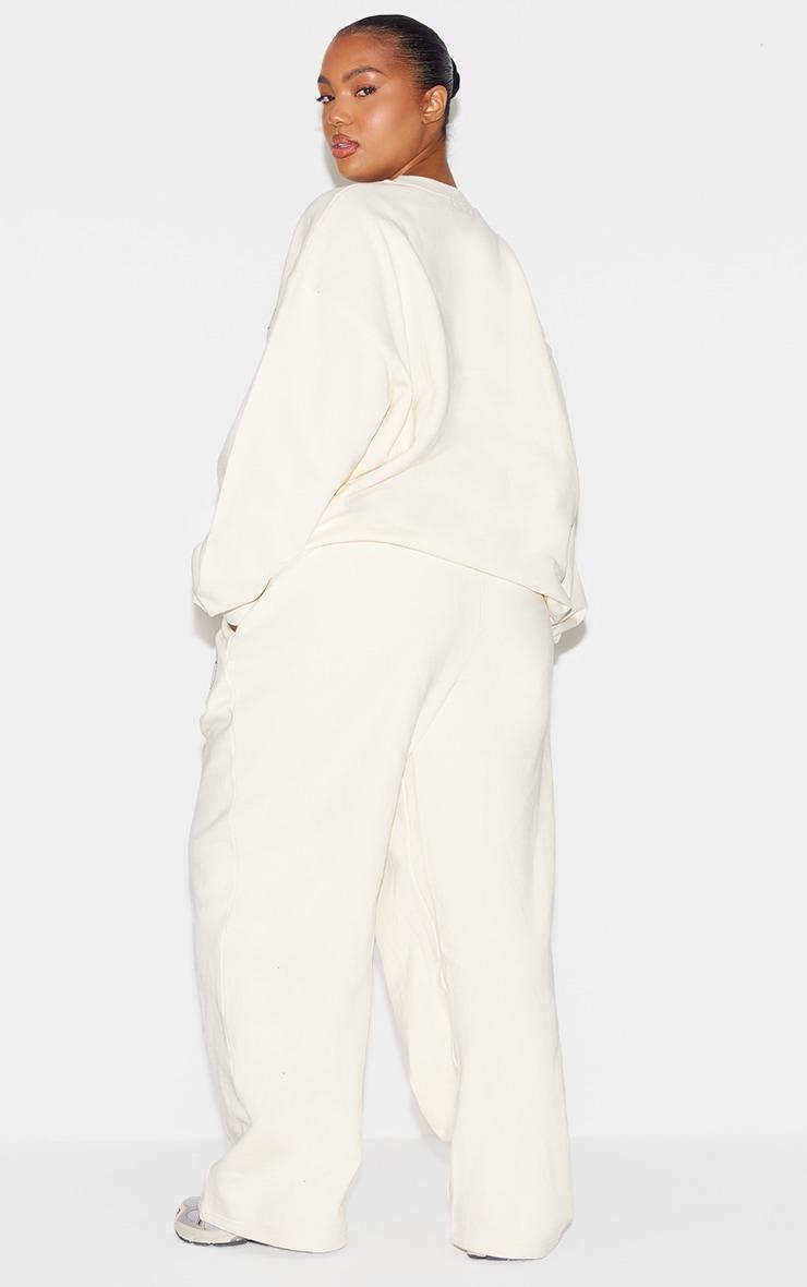  Cream Circle Wellness Premium Print Oversized Sweatshirt Product Image