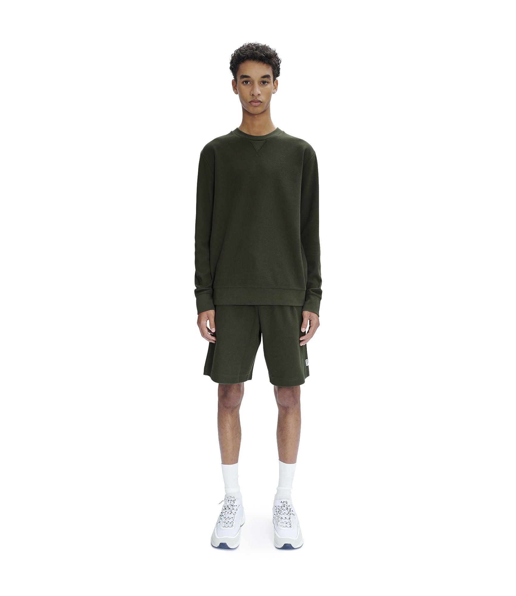 Lino shorts Male Product Image