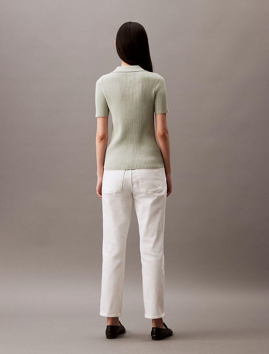 Smooth Cotton Rib Sweater Polo Shirt Product Image