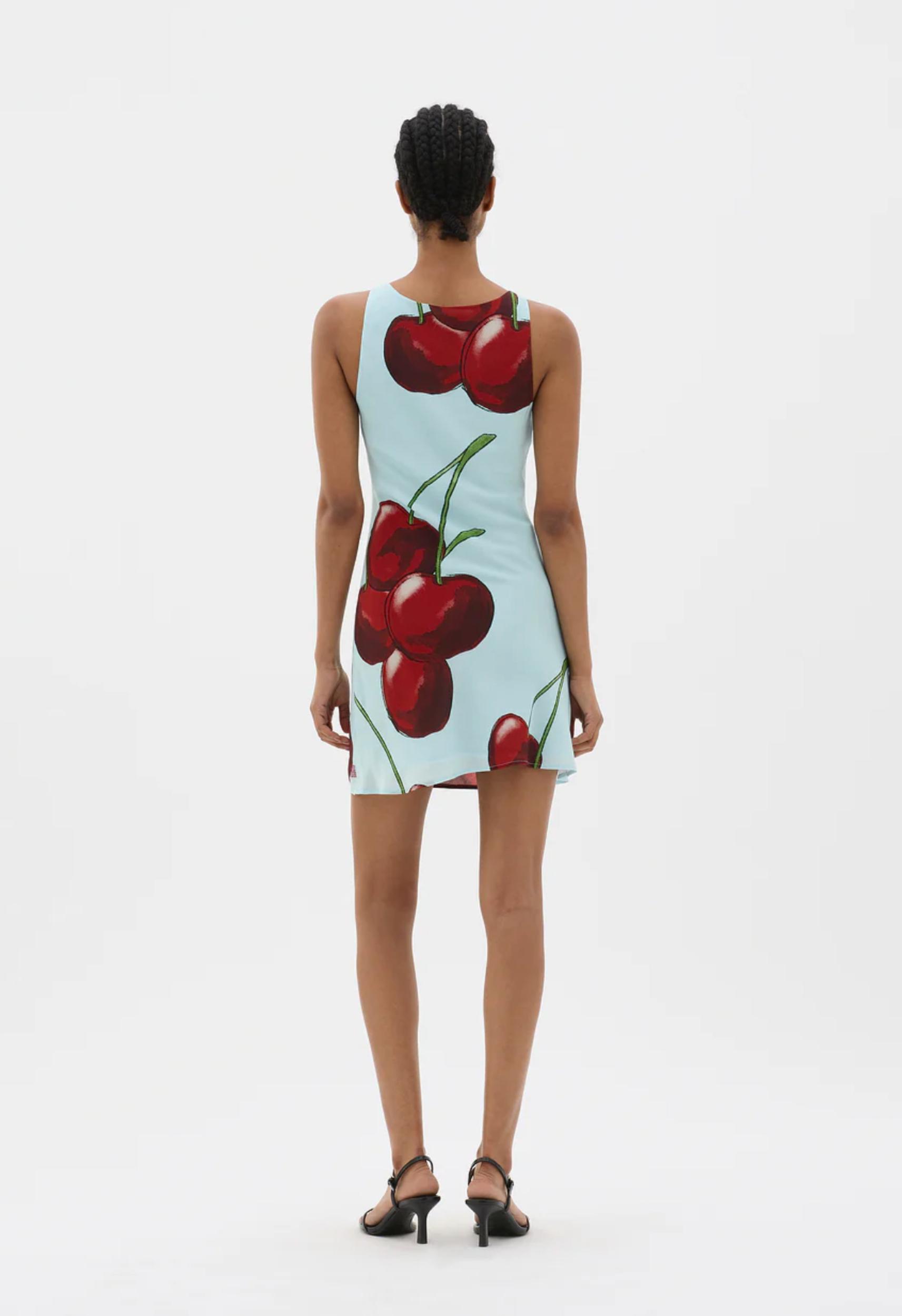 Dayrise Cherry Mini Dress Product Image