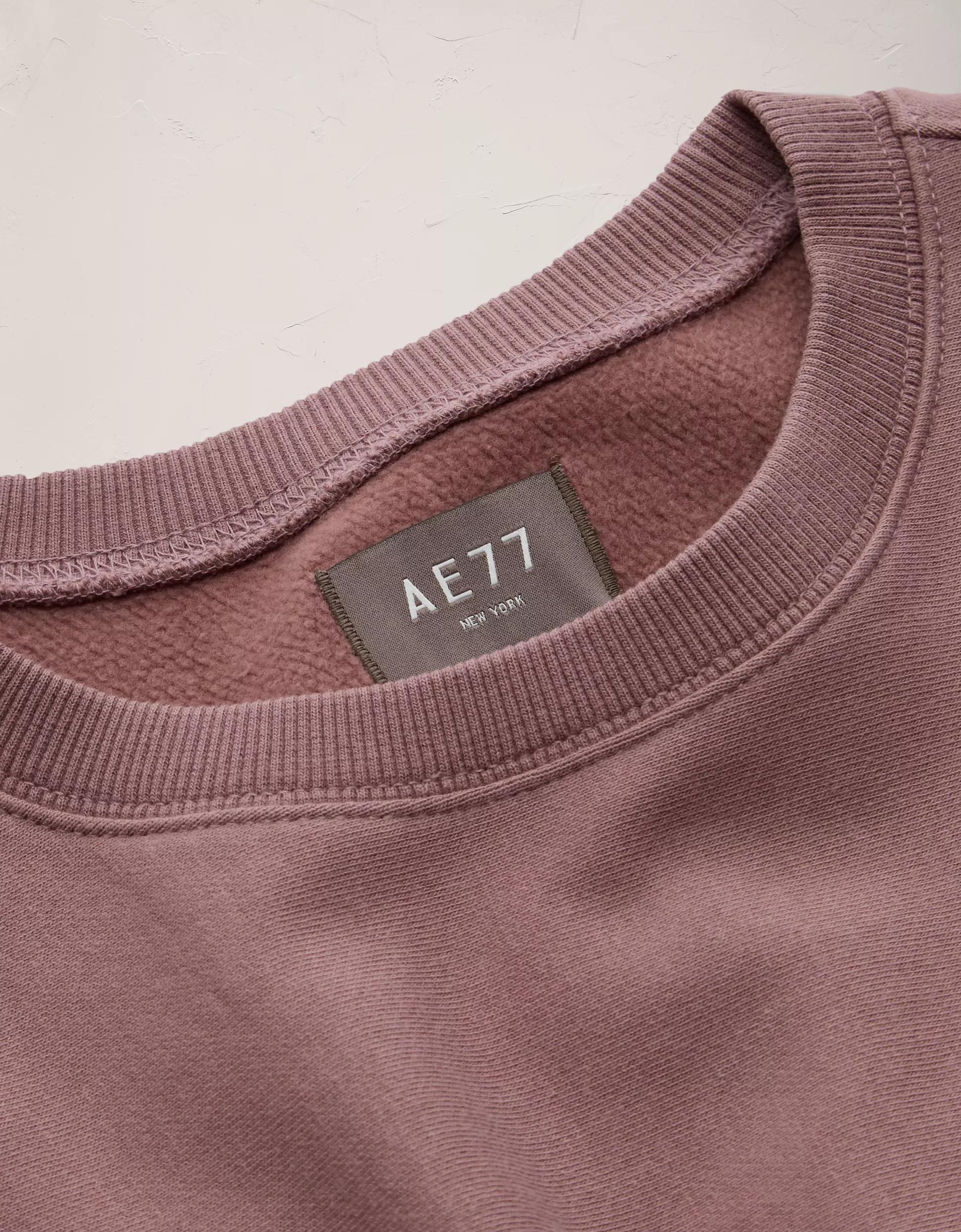 AE77 Premium Fleece Crew Neck Sweatshirt Product Image