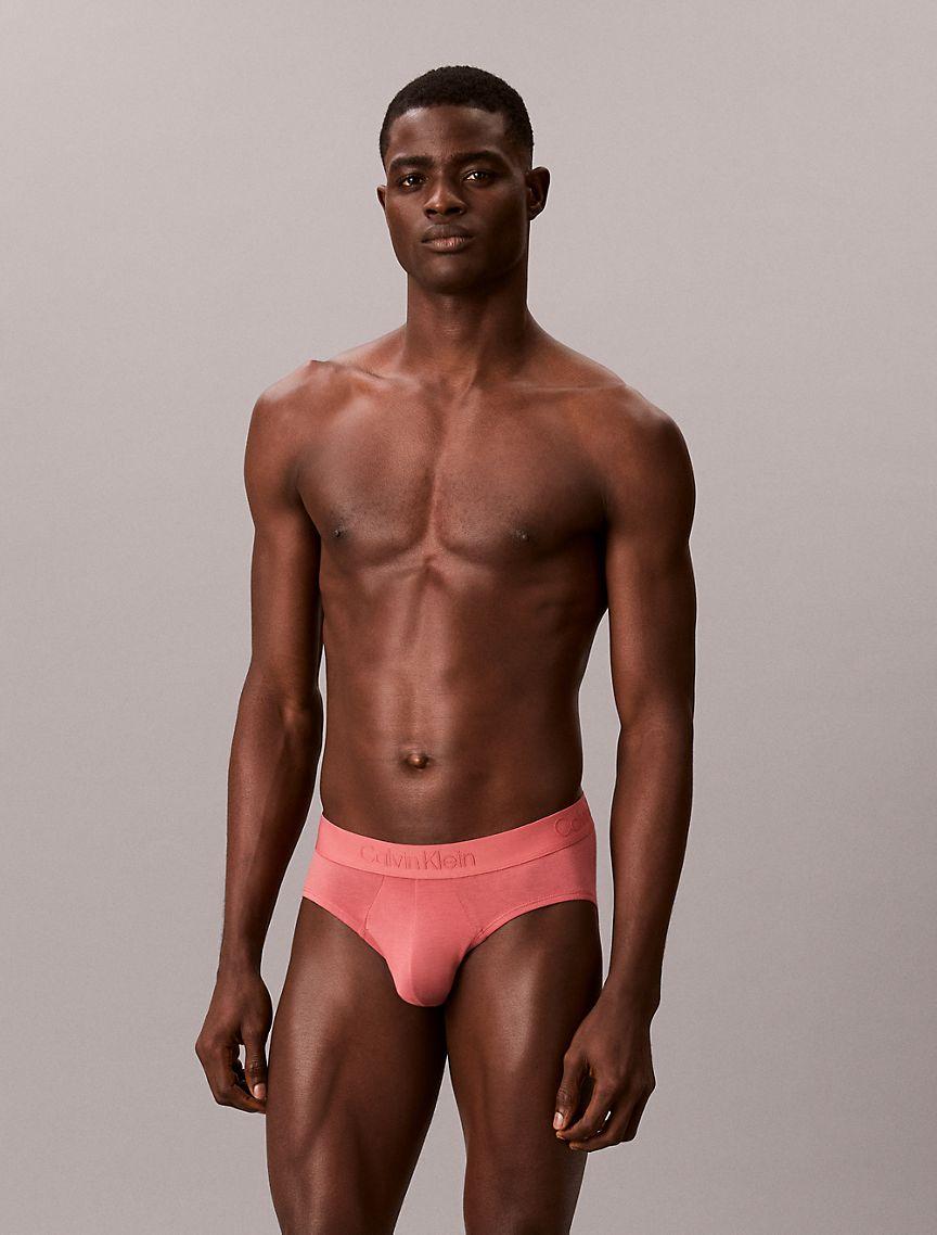 Ultra Soft Modal Hip Brief Product Image
