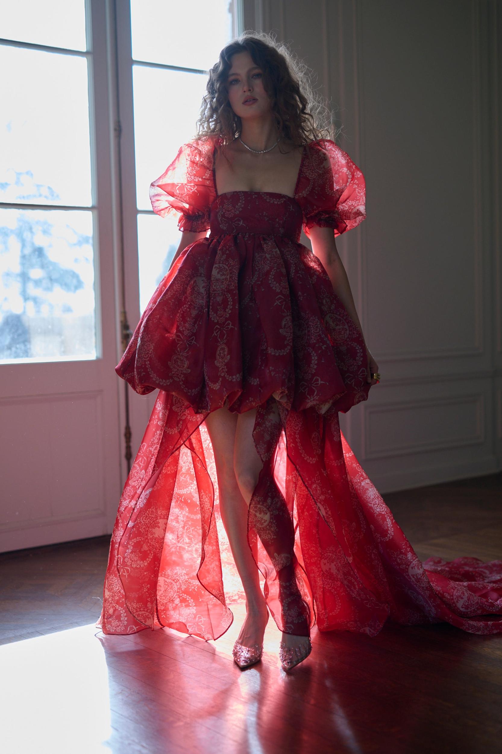 The Ornament Fairytale Gown Product Image