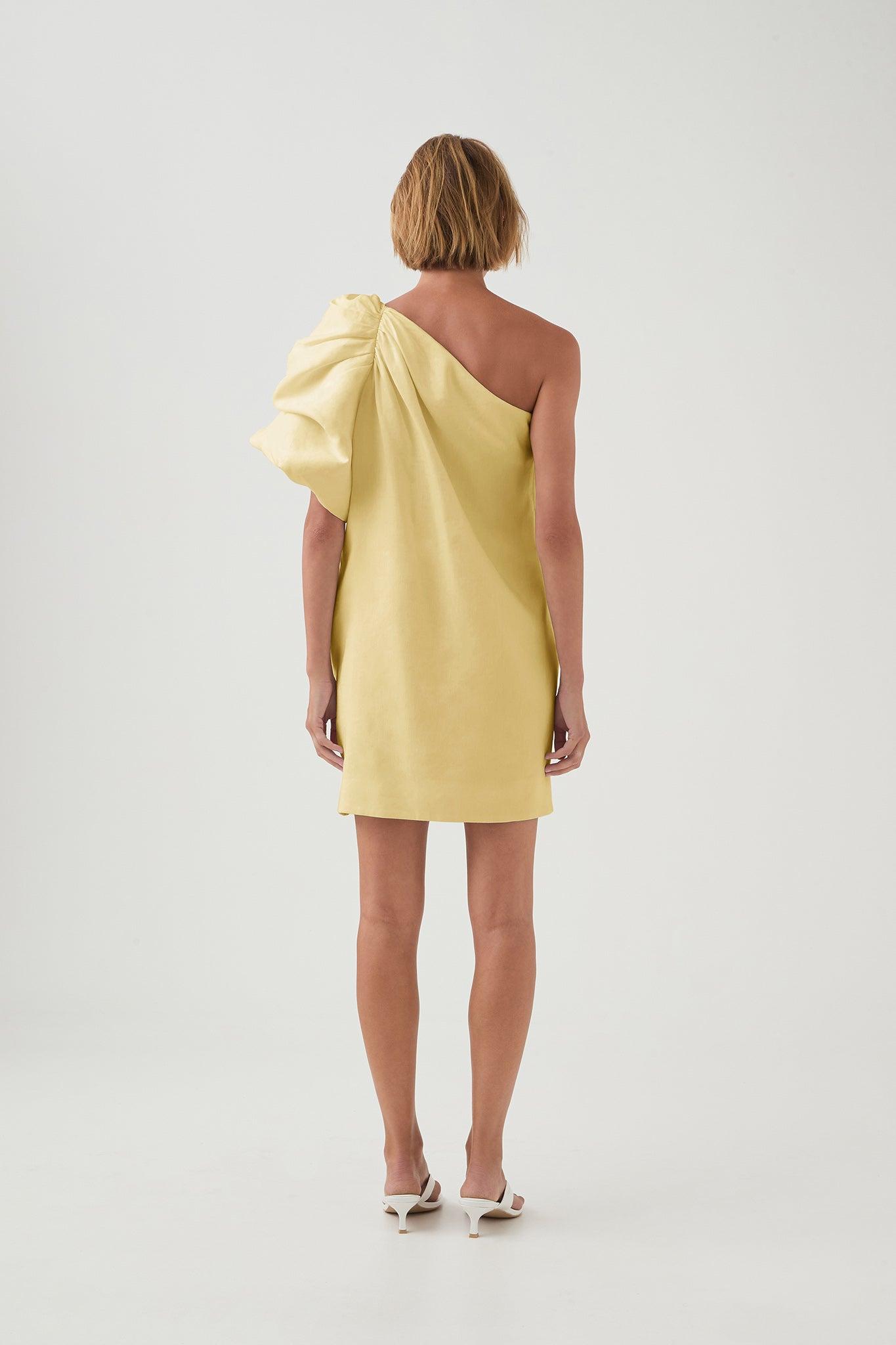 Cira Mini Dress Product Image